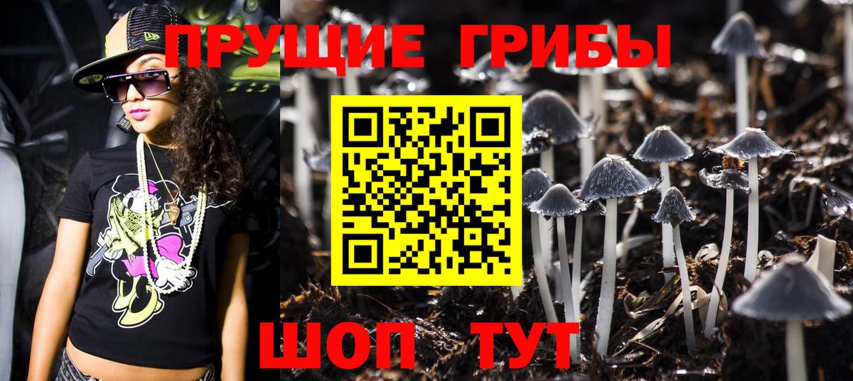 где продают   Галлюциногенные грибы Psilocybine cubensis  Вход с VPN  Полысаево 